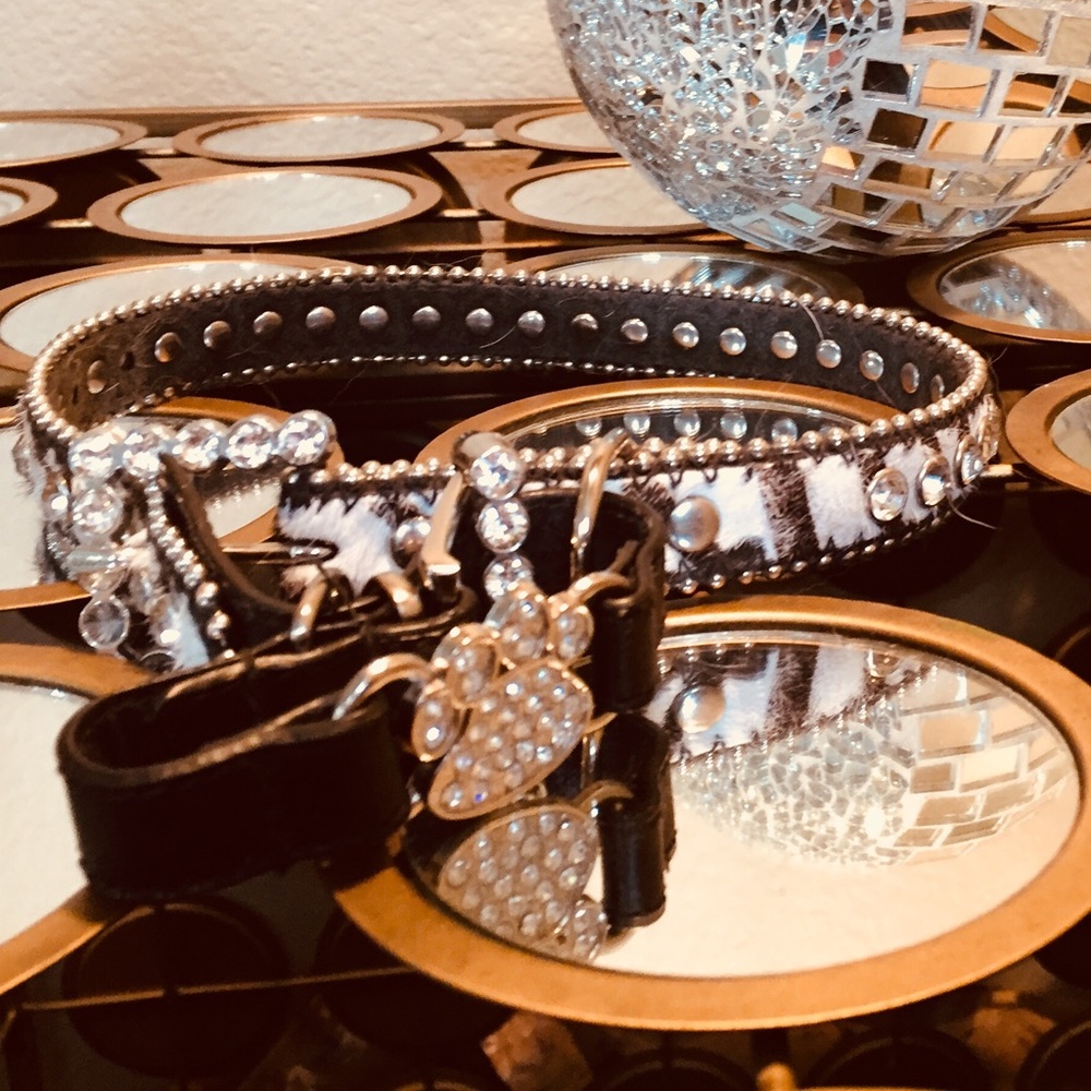 PAWSHEST PUPZ’S.   Private collection Queen collar